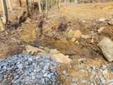 0 Flea Mountain Road - Photo 19