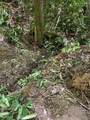 0 Flea Mountain Road - Photo 22