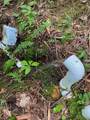0 Flea Mountain Road - Photo 24