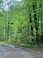 0 Flea Mountain Road - Photo 26