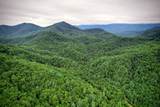 0 Flea Mountain Road - Photo 33