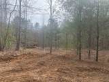 0 Flea Mountain Road - Photo 4