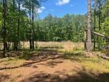 0000 Dooly Springs - Photo 5