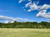 Tbd Sandhill Road - Photo 5