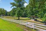 125 Quarter Horse Run - Photo 17