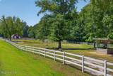 125 Quarter Horse Run - Photo 18