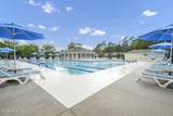 1331 Grandiflora Drive - Photo 45