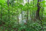Lot 8-10 Castlewood - Photo 11