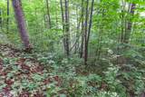 Lot 8-10 Castlewood - Photo 19