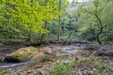 23.59 AC Chestnut Flats Road - Photo 10