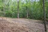 23.59 AC Chestnut Flats Road - Photo 11