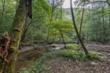 23.59 AC Chestnut Flats Road - Photo 14