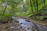 23.59 AC Chestnut Flats Road - Photo 2