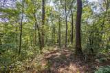 23.59 AC Chestnut Flats Road - Photo 24