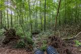 23.59 AC Chestnut Flats Road - Photo 29