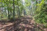 23.59 AC Chestnut Flats Road - Photo 30