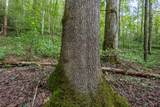 23.59 AC Chestnut Flats Road - Photo 32