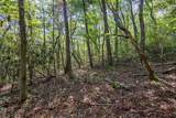 23.59 AC Chestnut Flats Road - Photo 46