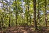23.59 AC Chestnut Flats Road - Photo 5