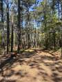 5324 Us 1 Highway - Photo 21