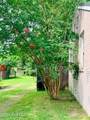 2005 Chester Avenue - Photo 9