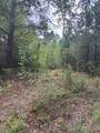 1912 Pine Hollow Drive - Photo 3