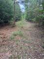 1912 Pine Hollow Drive - Photo 4