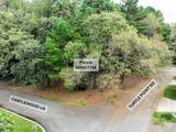 Tbd Turtle Point Road - Photo 5