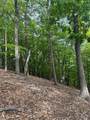 Lot 4 Hampton Knob - Photo 2