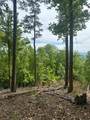 Lot 4 Hampton Knob - Photo 3