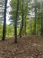 Lot 4 Hampton Knob - Photo 4