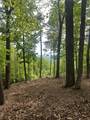 Lot 4 Hampton Knob - Photo 5