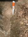 Lot 4 Hampton Knob - Photo 6