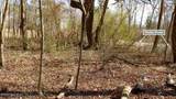 358 Parker Road - Photo 23
