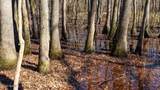 358 Parker Road - Photo 42
