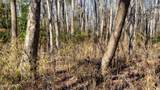 358 Parker Road - Photo 46