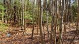 358 Parker Road - Photo 52