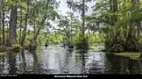 358 Parker Road - Photo 71