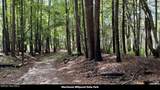 358 Parker Road - Photo 72