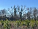 Lot 6 Triangle Road - Photo 3