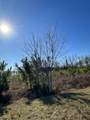 Lot 6 Triangle Road - Photo 4