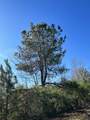 Lot 6 Triangle Road - Photo 6