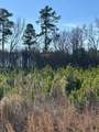 Lot 6 Triangle Road - Photo 9