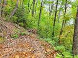 Lot 30 Skyview Drive - Photo 6