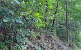 Lot 77 Fires Creek Cove - Photo 1