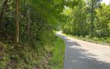 Lot 77 Fires Creek Cove - Photo 13