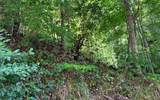 Lot 77 Fires Creek Cove - Photo 15