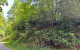 Lot 77 Fires Creek Cove - Photo 19