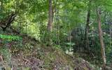 Lot 77 Fires Creek Cove - Photo 3