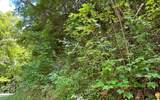 Lot 77 Fires Creek Cove - Photo 4